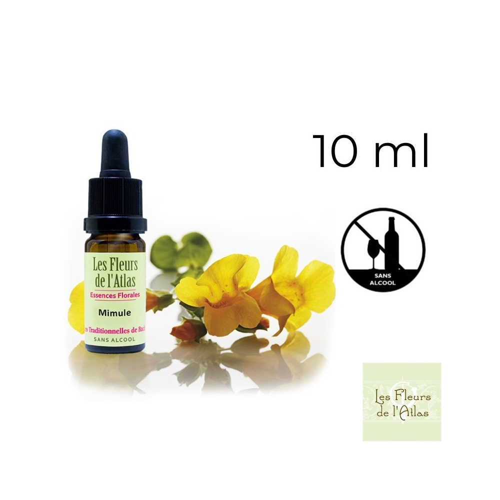 Mimulus Fleurs de Bach sans alcool - Fleurs de l'Atlas 10 ml (Mimule) Fleurs de l'Atlas - Sans alcool 1 - mesfleursdebach.com Mimulus Fleurs de Bach sans alcool - Fleurs de l'Atlas 10 ml (Mimule) Fleurs de l'Atlas - Sans alcool 1 - mesfleursdebach.com