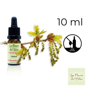 Oak Fleurs de Bach sans alcool - Fleurs de l'Atlas 10 ml (Chêne) Fleurs de l'Atlas - Sans alcool 1 - mesfleursdebach.com 