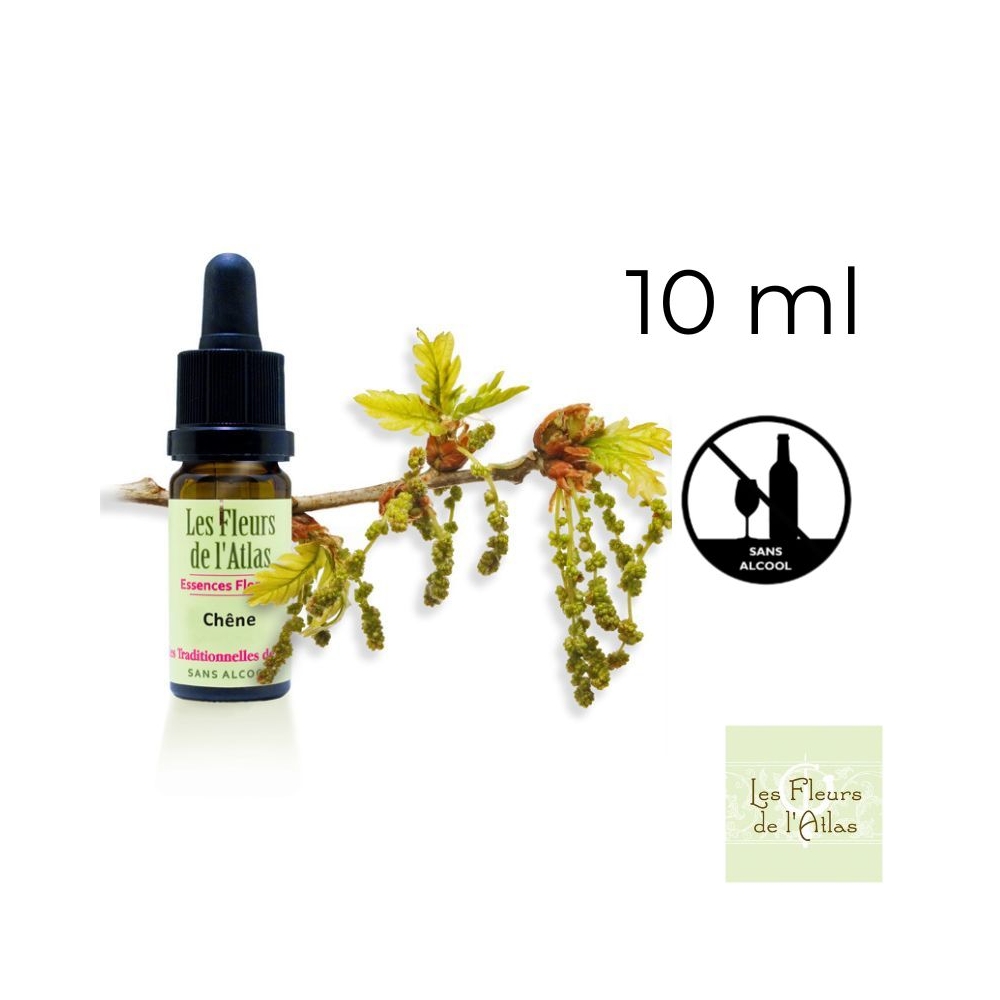 Oak Fleurs de Bach sans alcool - Fleurs de l'Atlas 10 ml (Chêne) Fleurs de l'Atlas - Sans alcool 1 - mesfleursdebach.com Oak Fleurs de Bach sans alcool - Fleurs de l'Atlas 10 ml (Chêne) Fleurs de l'Atlas - Sans alcool 1 - mesfleursdebach.com