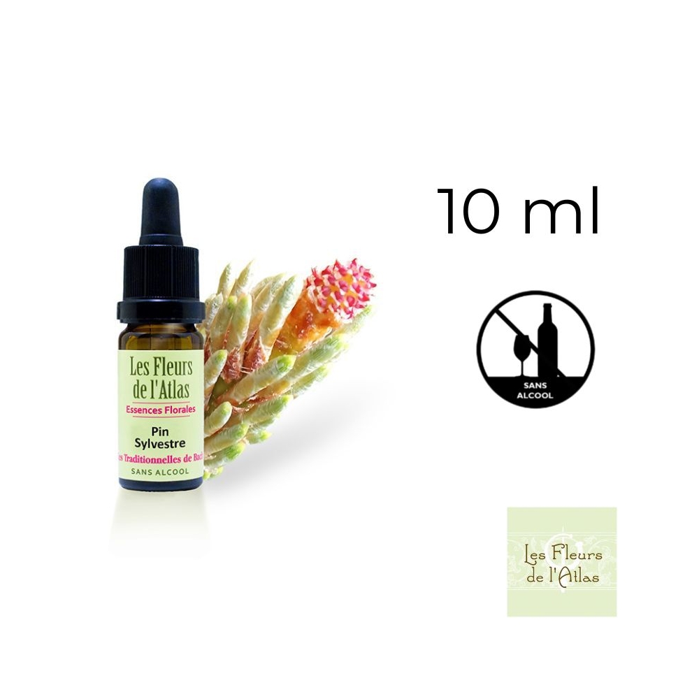 Pine Fleurs de Bach sans alcool - Fleurs de l'Atlas 10 ml (Pin Sylvestre) Fleurs de l'Atlas - Sans alcool 1 - mesfleursdebach.co