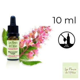 Red Chestnut Fleurs de Bach sans alcool - Fleurs de l'Atlas 10 ml (Marronnier Rouge) Fleurs de l'Atlas - Sans alcool 1 - mesfleu