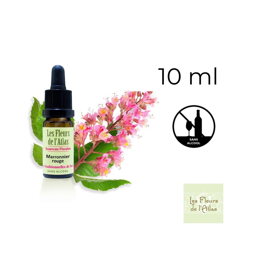 Red Chestnut Fleurs de Bach sans alcool - Fleurs de l'Atlas 10 ml (Marronnier Rouge) Fleurs de l'Atlas - Sans alcool 1 - mesfleu Red Chestnut Fleurs de Bach sans alcool - Fleurs de l'Atlas 10 ml (Marronnier Rouge) Fleurs de l'Atlas - Sans alcool 1 - mesfleu