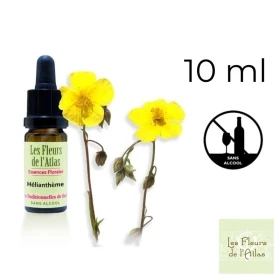 Rock Rose Fleurs de Bach sans alcool - Fleurs de l'Atlas 10 ml (Hélianthème) Fleurs de l'Atlas - Sans alcool 1 - mesfleursdebach