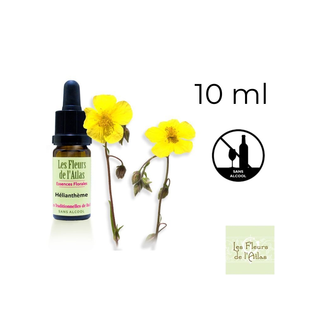 Rock Rose Fleurs de Bach sans alcool - Fleurs de l'Atlas 10 ml (Hélianthème) Fleurs de l'Atlas - Sans alcool 1 - mesfleursdebach Rock Rose Fleurs de Bach sans alcool - Fleurs de l'Atlas 10 ml (Hélianthème) Fleurs de l'Atlas - Sans alcool 1 - mesfleursdebach