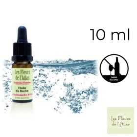 Rock Water Fleurs de Bach sans alcool - Fleurs de l'Atlas 10 ml (Eau de Roche) Fleurs de l'Atlas - Sans alcool 1 - mesfleursdeba