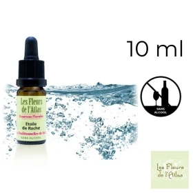 Rock Water Fleurs de Bach sans alcool - Fleurs de l'Atlas 10 ml (Eau de Roche) Fleurs de l'Atlas - Sans alcool 1 - mesfleursdeba
