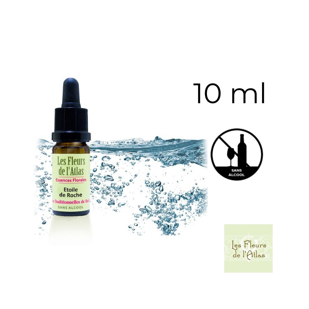 Rock Water Fleurs de Bach sans alcool - Fleurs de l'Atlas 10 ml (Eau de Roche) Fleurs de l'Atlas - Sans alcool 1 - mesfleursdeba