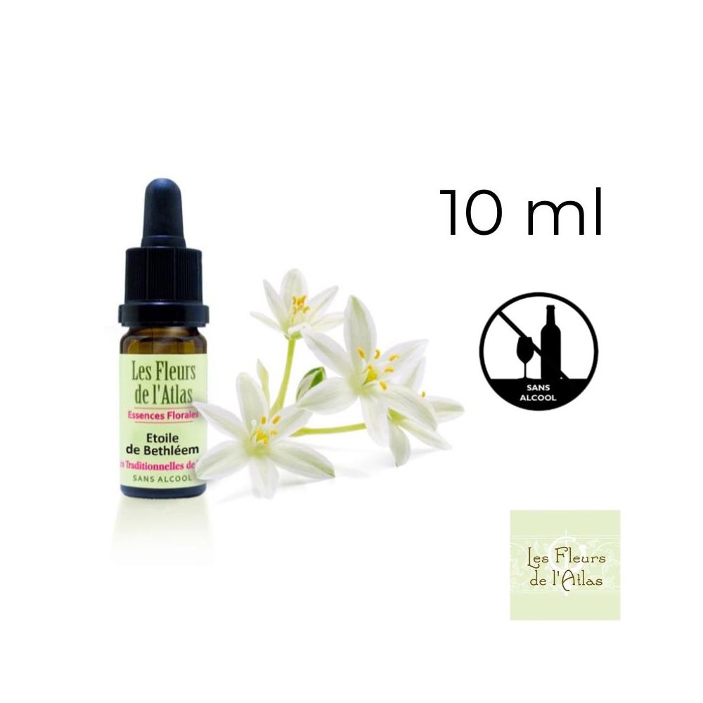 Star of Bethlehem Fleurs de Bach sans alcool - Fleurs de l'Atlas 10 ml (Étoile de Bethléem) Fleurs de l'Atlas - Sans alcool 1 - Star of Bethlehem Fleurs de Bach sans alcool - Fleurs de l'Atlas 10 ml (Étoile de Bethléem) Fleurs de l'Atlas - Sans alcool 1 -