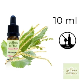 Sweet Chestnut Fleurs de Bach sans alcool - Fleurs de l'Atlas 10 ml (Châtaignier) Fleurs de l'Atlas - Sans alcool 1 - mesfleursd