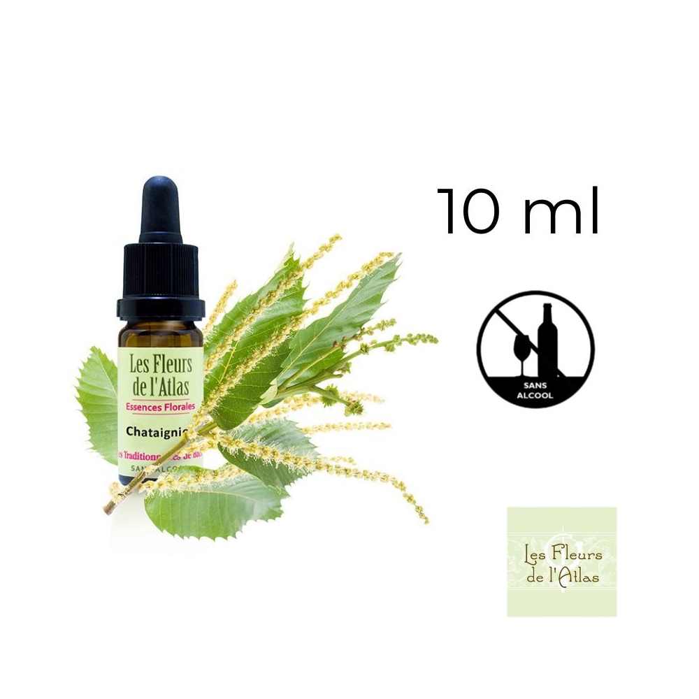 Sweet Chestnut Fleurs de Bach sans alcool - Fleurs de l'Atlas 10 ml (Châtaignier) Fleurs de l'Atlas - Sans alcool 1 - mesfleursd Sweet Chestnut Fleurs de Bach sans alcool - Fleurs de l'Atlas 10 ml (Châtaignier) Fleurs de l'Atlas - Sans alcool 1 - mesfleursd