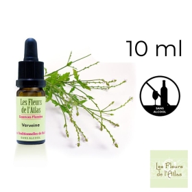 Vervain Fleurs de Bach sans alcool - Fleurs de l'Atlas 10 ml (Verveine) Fleurs de l'Atlas - Sans alcool 5 - mesfleursdebach.com 