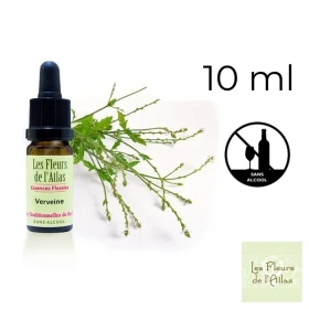 Vervain Fleurs de Bach sans alcool - Fleurs de l'Atlas 10 ml (Verveine) Fleurs de l'Atlas - Sans alcool 5 - mesfleursdebach.com 