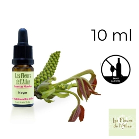 Walnut Fleurs de Bach sans alcool - Fleurs de l'Atlas 10 ml (Noyer) Fleurs de l'Atlas - Sans alcool 1 - mesfleursdebach.com 