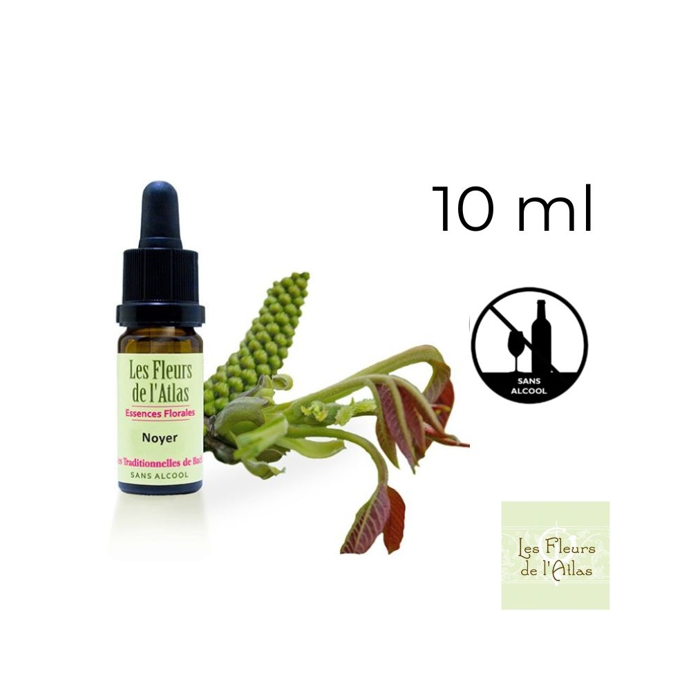 Walnut Fleurs de Bach sans alcool - Fleurs de l'Atlas 10 ml (Noyer) Fleurs de l'Atlas - Sans alcool 1 - mesfleursdebach.com Walnut Fleurs de Bach sans alcool - Fleurs de l'Atlas 10 ml (Noyer) Fleurs de l'Atlas - Sans alcool 1 - mesfleursdebach.com