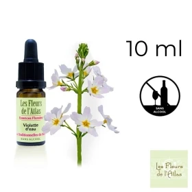 Water Violet Fleurs de Bach sans alcool - Fleurs de l'Atlas 10 ml (Violette d'Eau ou Hottonie des marais) Fleurs de l'Atlas - Sa