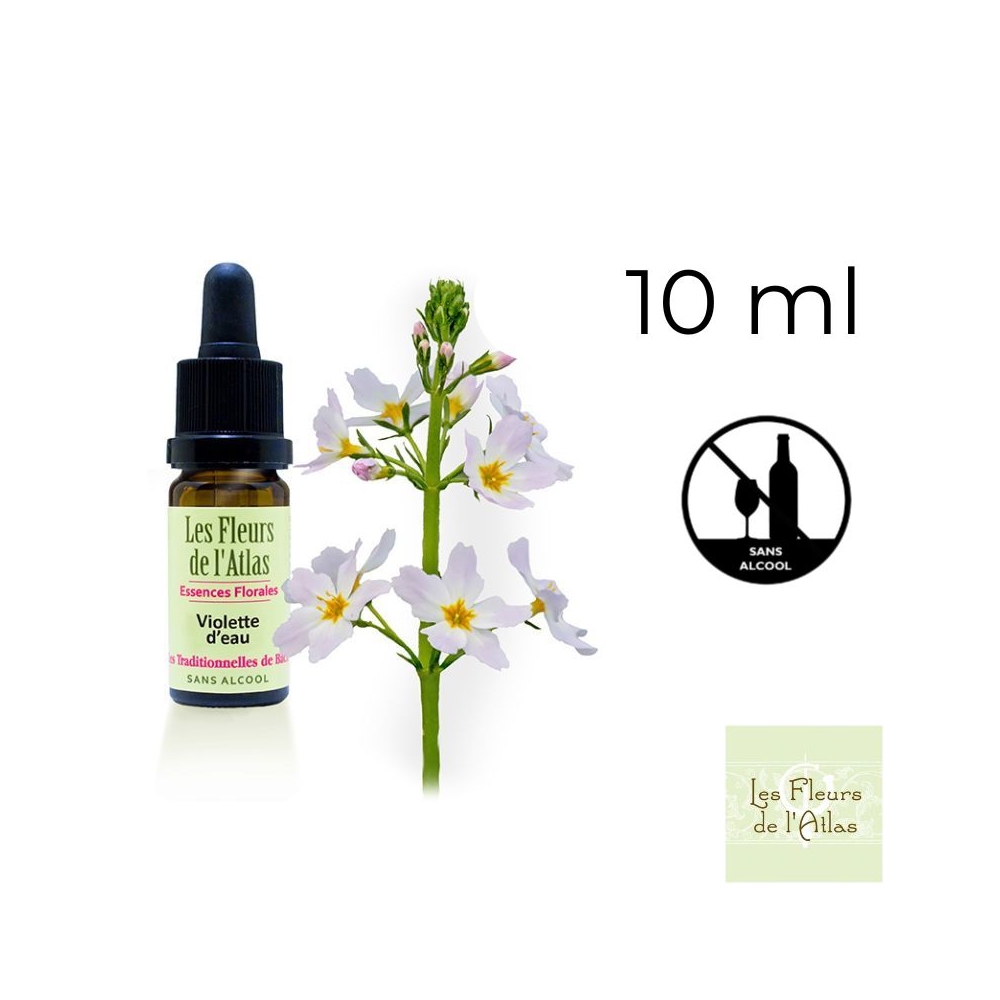 Water Violet Fleurs de Bach sans alcool - Fleurs de l'Atlas 10 ml (Violette d'Eau ou Hottonie des marais) Fleurs de l'Atlas - Sa Water Violet Fleurs de Bach sans alcool - Fleurs de l'Atlas 10 ml (Violette d'Eau ou Hottonie des marais) Fleurs de l'Atlas - Sa