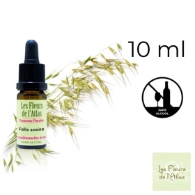 Wild Oat Fleurs de Bach sans alcool - Fleurs de l'Atlas 10 ml (Folle Avoine) Fleurs de l'Atlas - Sans alcool 1 - mesfleursdebach