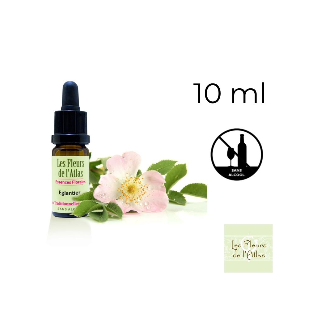 Wild Rose Fleurs de Bach sans alcool - Fleurs de l'Atlas 10 ml (Églantine) Fleurs de l'Atlas - Sans alcool 1 - mesfleursdebach.c Wild Rose Fleurs de Bach sans alcool - Fleurs de l'Atlas 10 ml (Églantine) Fleurs de l'Atlas - Sans alcool 1 - mesfleursdebach.c