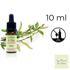 Willow Fleurs de Bach Sans Alcool - Fleurs de l'Atlas 10 ml (Saule) Fleurs de l'Atlas - Sans alcool 4 - mesfleursdebach.com 