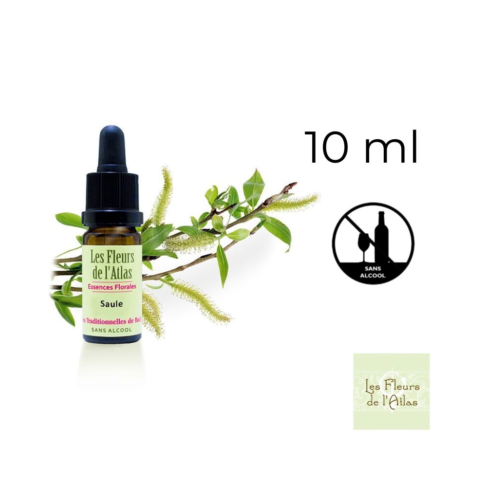 Willow Fleurs de Bach Sans Alcool - Fleurs de l'Atlas 10 ml (Saule) Fleurs de l'Atlas - Sans alcool 4 - mesfleursdebach.com Willow Fleurs de Bach Sans Alcool - Fleurs de l'Atlas 10 ml (Saule) Fleurs de l'Atlas - Sans alcool 4 - mesfleursdebach.com