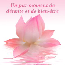 Crème Anti-Âge Cocooning Alchimy aux Fleurs de Bach et à l'acide hyaluronique Alchimy 9 - mesfleursdebach.com 