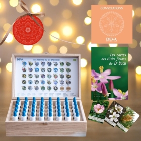 Coffret de Noël plein en bois Deva 15 ml- 38 fleurs de Bach et 2 rescue Deva 1 - mesfleursdebach.com 