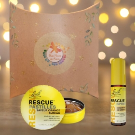 Coffret Cadeau Noël - Rescue Jour Spray + Pastilles Orange - Fleurs de Bach Bach Original [product.brand] 1 - mesfleursdebach.co