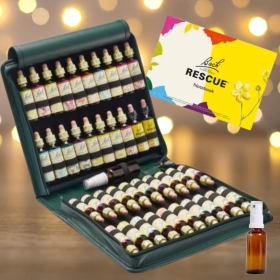 Trousse de Noël fleurie pleine Bach Original 20 Ml. Offerts: 1 Livre, 1 vapospray 30 ml Bach Original Nelsons 1 - mesfleursdebac