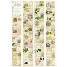 Poster des 19 Spirituelles A0 - 119*84cm - 19 fleurs de Bach Mes Fleurs de BACH 1 - mesfleursdebach.com 