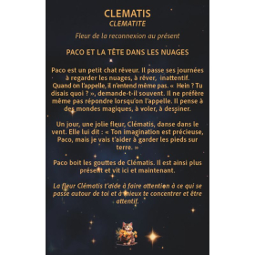 Jeu de cartes: Les fleurs de Bach pour mon enfant [product.brand] 3 - mesfleursdebach.com 