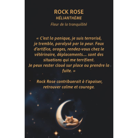 Jeu de cartes émotions animaux - Fleurs de Bach [product.brand] 3 - mesfleursdebach.com 