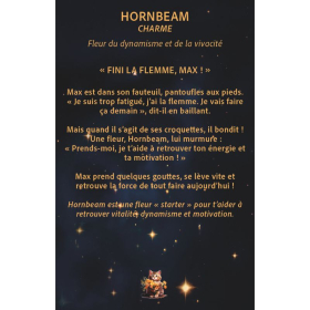 Jeu de cartes: Les fleurs de Bach pour mon enfant [product.brand] 11 - mesfleursdebach.com 