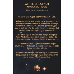 Jeu de cartes: Les fleurs de Bach pour mon enfant [product.brand] 13 - mesfleursdebach.com 