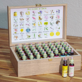 Coffret vide en chêne de Bourgogne pour Bach Original ou sans alcool Mes Fleurs de BACH 3 - mesfleursdebach.com 