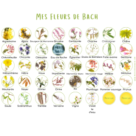 Coffret vide en chêne de Bourgogne pour Bach Original ou sans alcool Mes Fleurs de BACH 7 - mesfleursdebach.com 