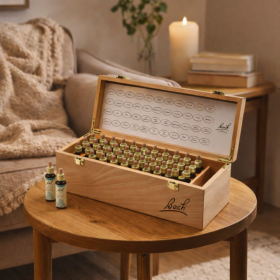 Bach Original 20ml - Coffret 38 Fleurs + 2 Rescue - Plein en bois de frêne Bach Original Nelsons 1 - mesfleursdebach.com 