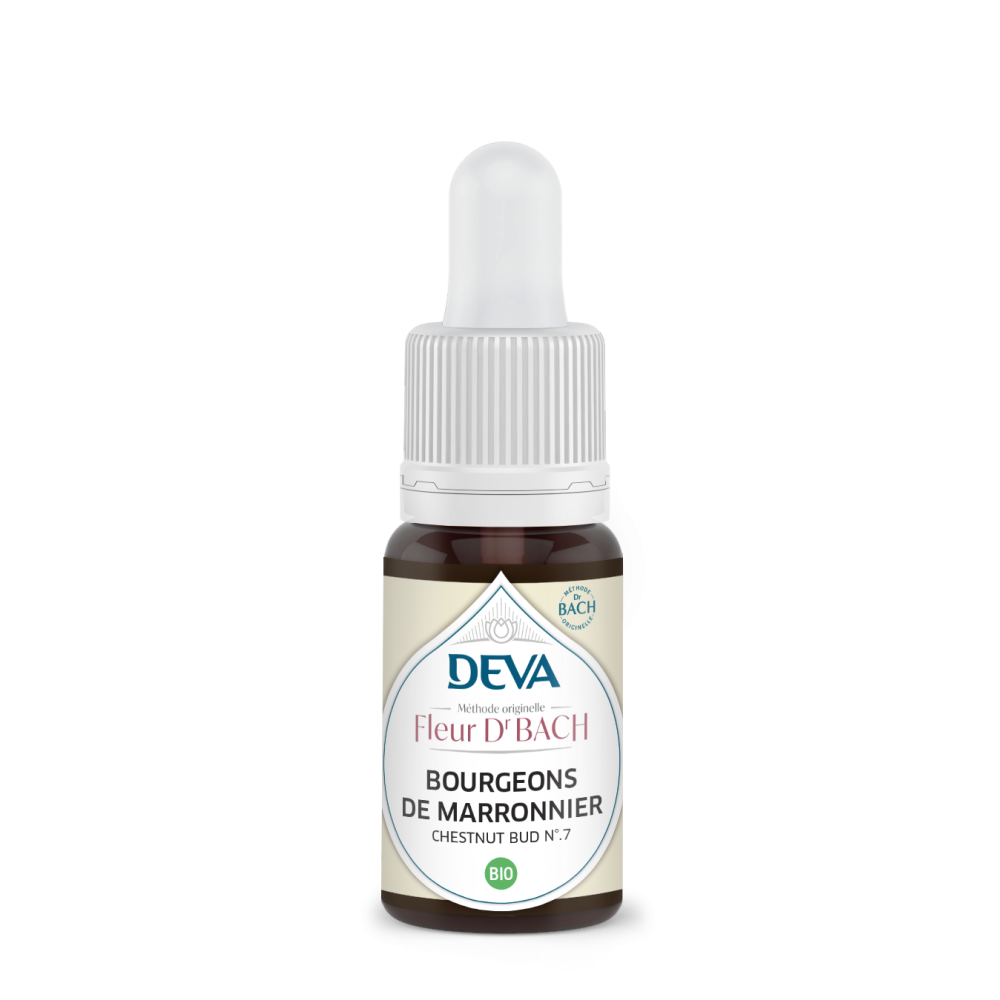 Chestnut Bud Deva 15 ml (Bourgeon de Marronnier) Deva 1 - mesfleursdebach.com 