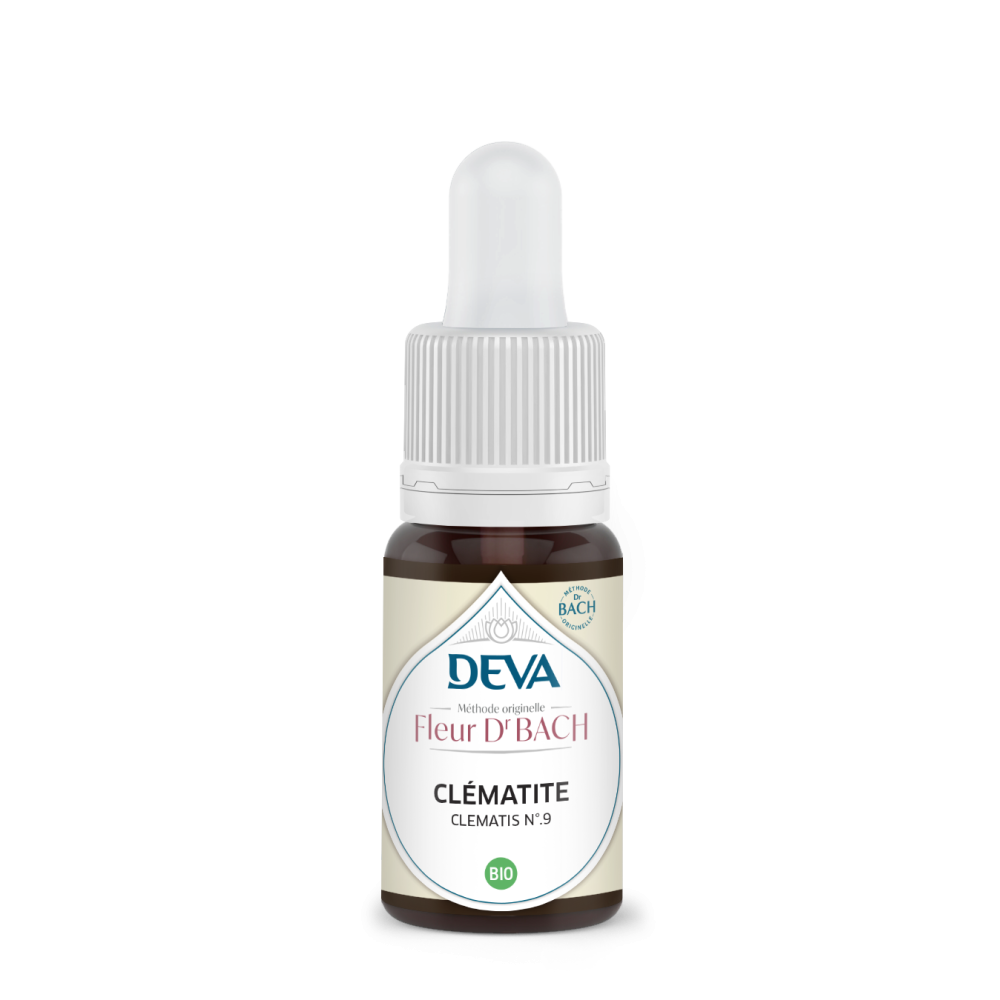 Clematis Deva 15 ml (Clématite) Deva 1 - mesfleursdebach.com 