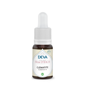 Clematis Deva 15 ml (Clématite) Deva 1 - mesfleursdebach.com 