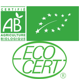 Spray gorge Bio Immuno4 50 ml aux fleurs de Bach Laboratoire Mint-e 2 - mesfleursdebach.com 