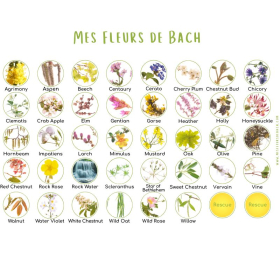 Sans alcool 30 ml - Coffret Vide Acajou - Fleurs de Bach Mes Fleurs de BACH 6 - mesfleursdebach.com 