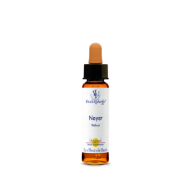 Trousse vide 10ML de Healing Herbs vert sapin pour 40 flacons Mes Fleurs de BACH 2 - mesfleursdebach.com 