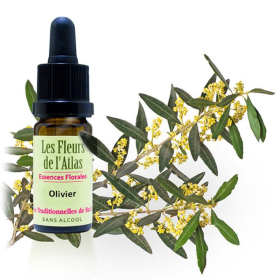 Fleurs de Bach SANS ALCOOL 10 ml - Coffret en bois plein Cerato 38 élixirs Les Fleurs de l'Atlas + 2 solutions d'urgence Rescue 