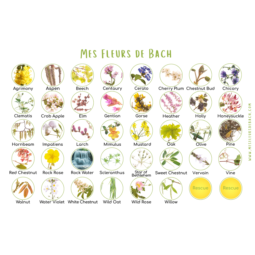 Deva 30 ml - Coffret en bois vide Deva 2 - mesfleursdebach.com 