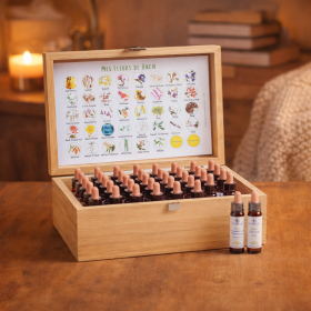 Coffret bois vide chêne healing herbs 10ml [product.brand] 6 - mesfleursdebach.com 