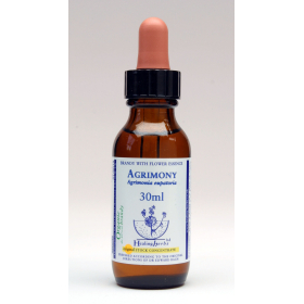 Agrimony Healing Herbs 30 ml (Aigremoine) Healing Herbs 1 - mesfleursdebach.com 