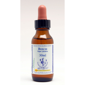 Beech Healing Herbs 30 ml (Hêtre) Healing Herbs 1 - mesfleursdebach.com 