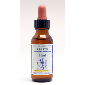 Cerato Healing Herbs 30 ml (Plumbago) Healing Herbs 1 - mesfleursdebach.com 