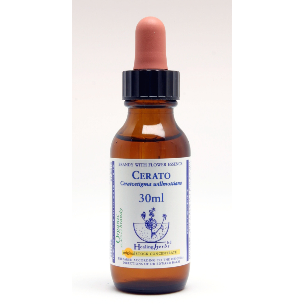 Cerato Healing Herbs 30 ml (Plumbago) Healing Herbs 1 - mesfleursdebach.com 