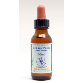 Cherry Plum Healing Herbs 30 ml (Prunier Myrobolan) Healing Herbs 1 - mesfleursdebach.com 